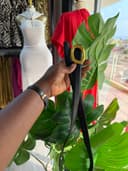 Product carousel Indicator