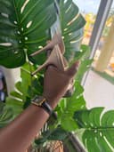 Product carousel Indicator